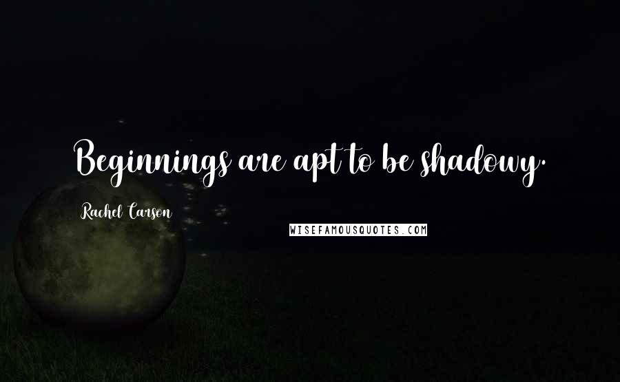 Rachel Carson Quotes: Beginnings are apt to be shadowy.