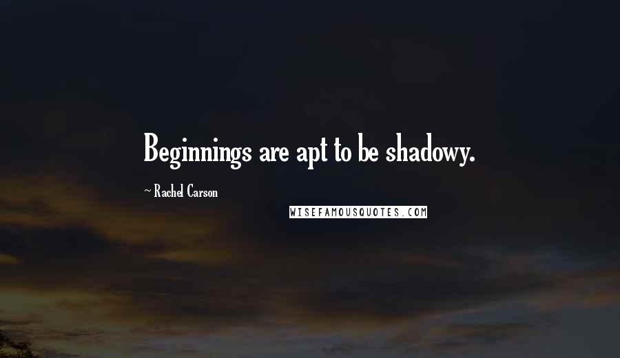 Rachel Carson Quotes: Beginnings are apt to be shadowy.