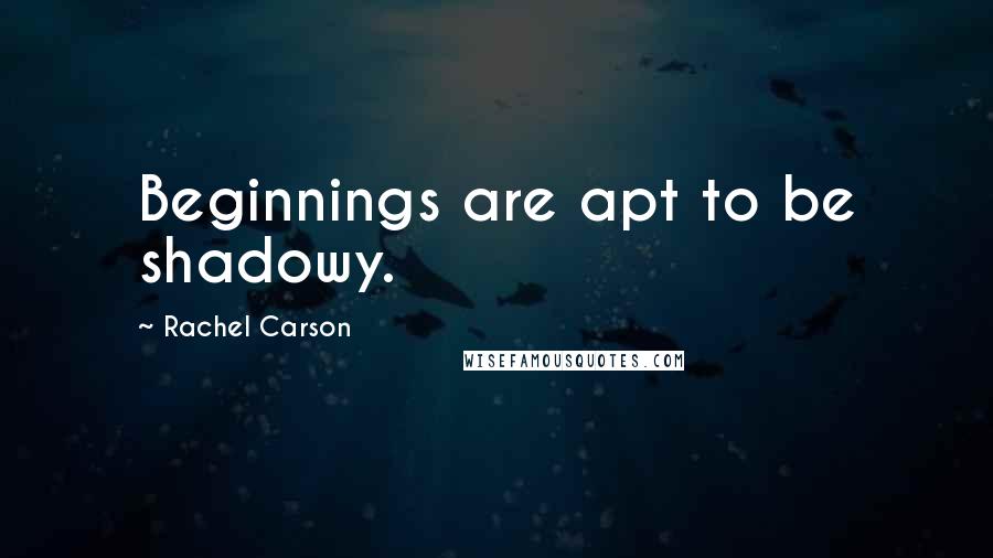 Rachel Carson Quotes: Beginnings are apt to be shadowy.