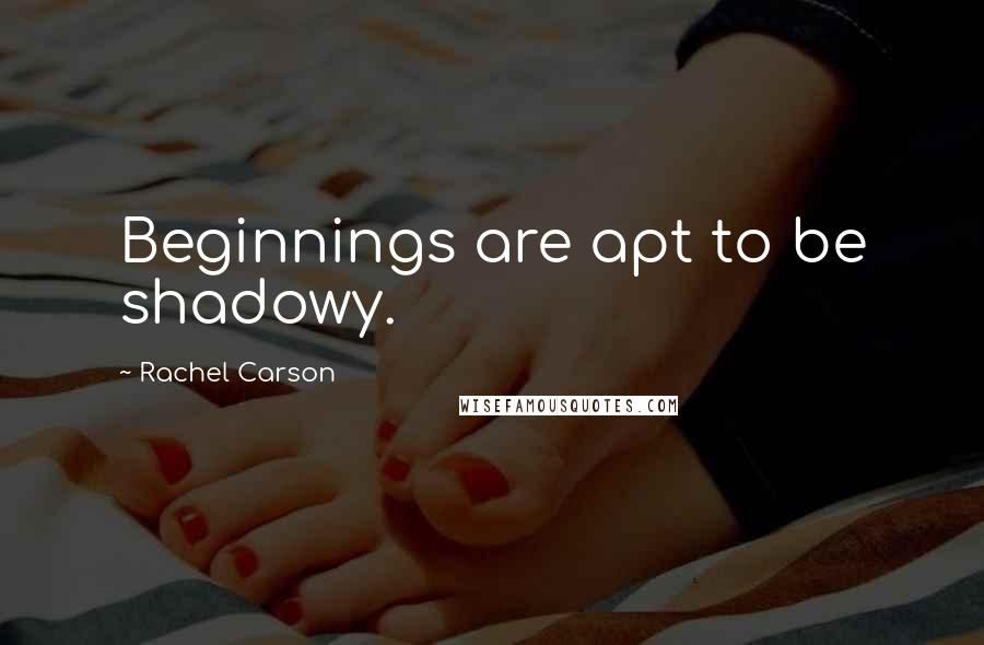 Rachel Carson Quotes: Beginnings are apt to be shadowy.