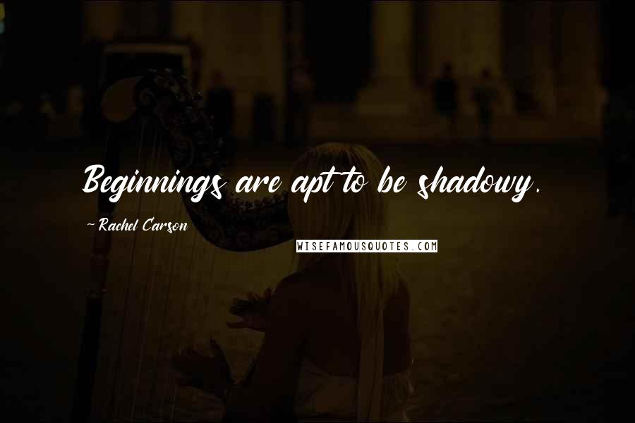 Rachel Carson Quotes: Beginnings are apt to be shadowy.
