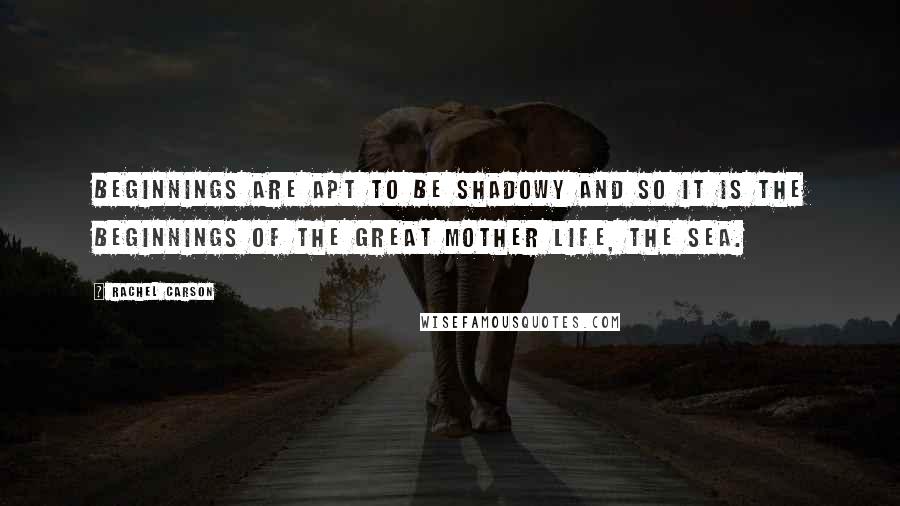 Rachel Carson Quotes: Beginnings are apt to be shadowy and so it is the beginnings of the great mother life, the sea.