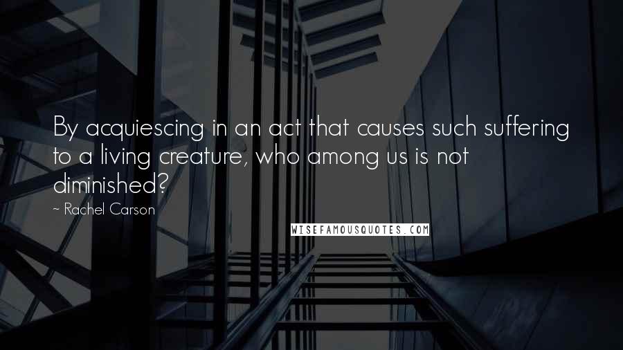 Rachel Carson Quotes: By acquiescing in an act that causes such suffering to a living creature, who among us is not diminished?