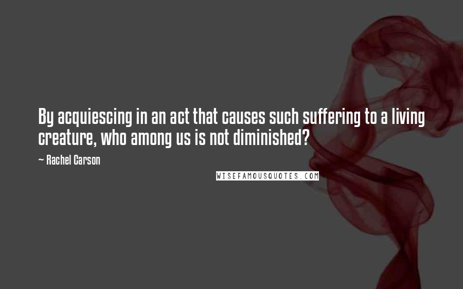 Rachel Carson Quotes: By acquiescing in an act that causes such suffering to a living creature, who among us is not diminished?