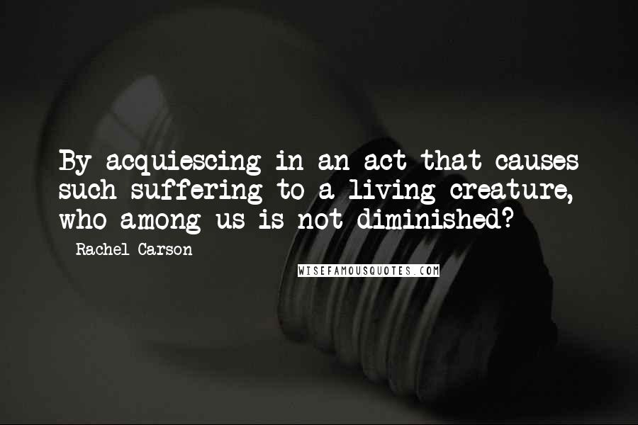 Rachel Carson Quotes: By acquiescing in an act that causes such suffering to a living creature, who among us is not diminished?