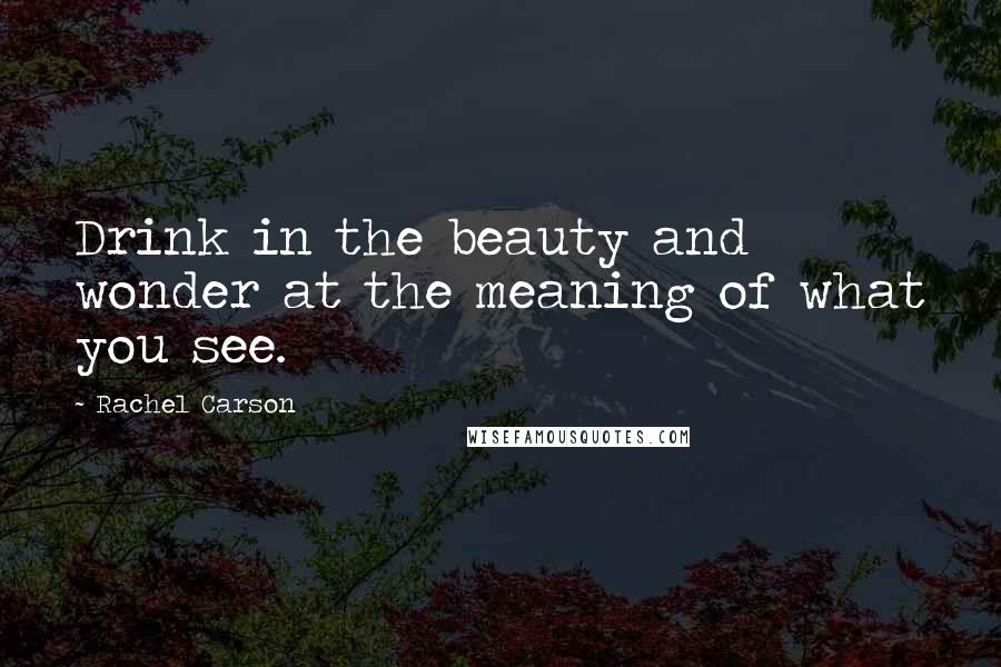 Rachel Carson Quotes: Drink in the beauty and wonder at the meaning of what you see.