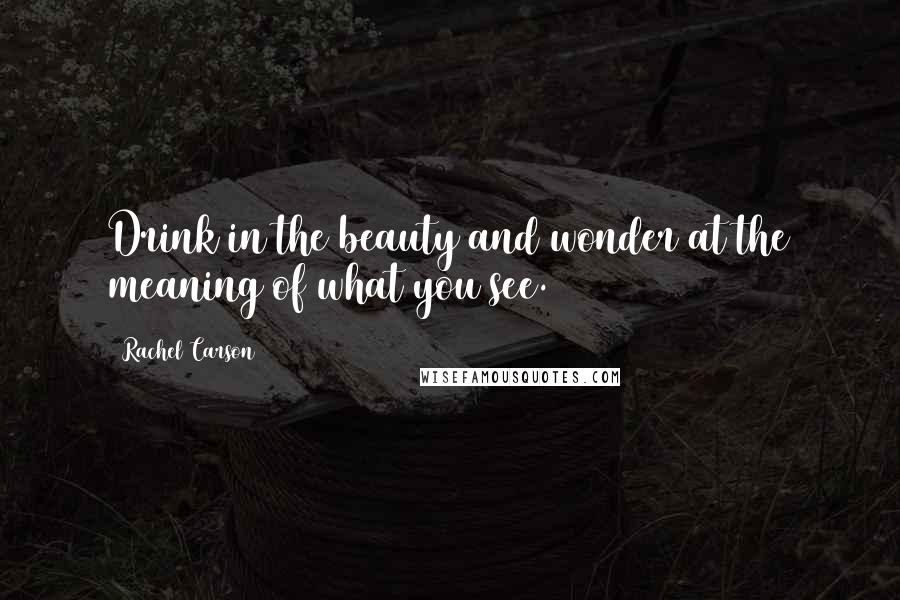 Rachel Carson Quotes: Drink in the beauty and wonder at the meaning of what you see.