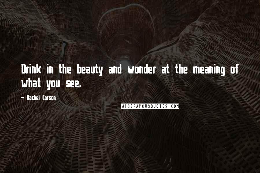 Rachel Carson Quotes: Drink in the beauty and wonder at the meaning of what you see.