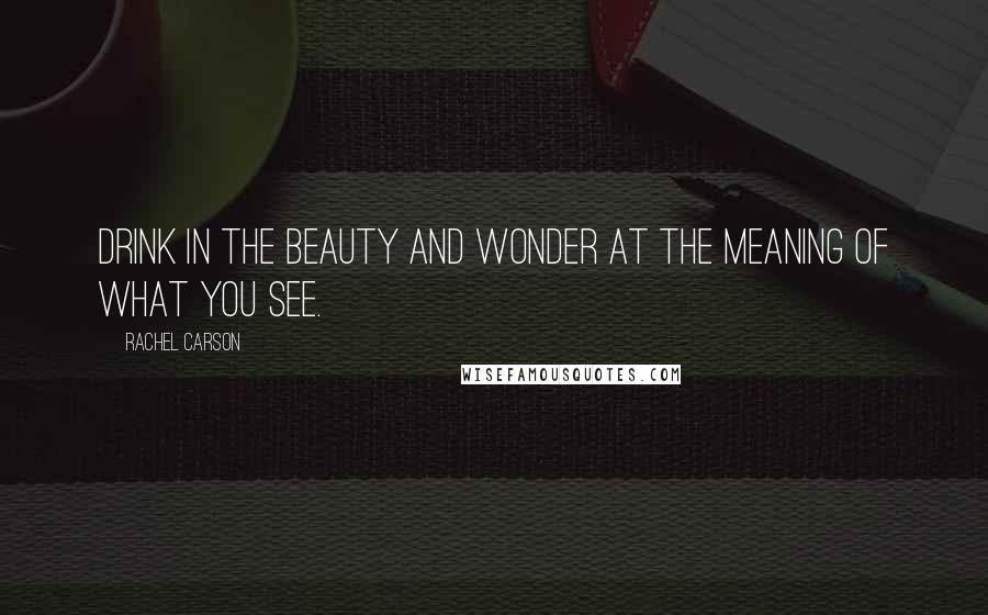 Rachel Carson Quotes: Drink in the beauty and wonder at the meaning of what you see.