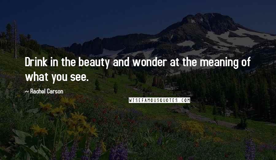 Rachel Carson Quotes: Drink in the beauty and wonder at the meaning of what you see.