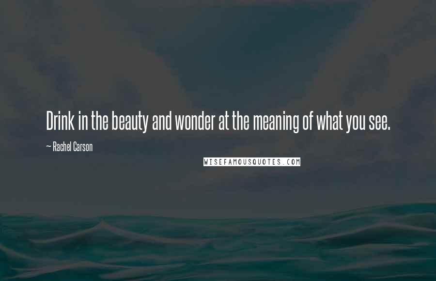 Rachel Carson Quotes: Drink in the beauty and wonder at the meaning of what you see.