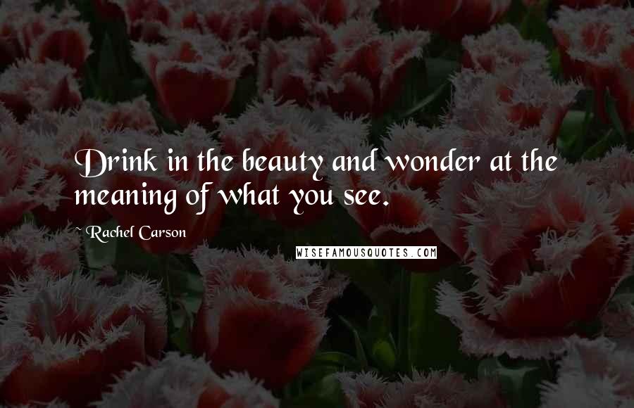 Rachel Carson Quotes: Drink in the beauty and wonder at the meaning of what you see.