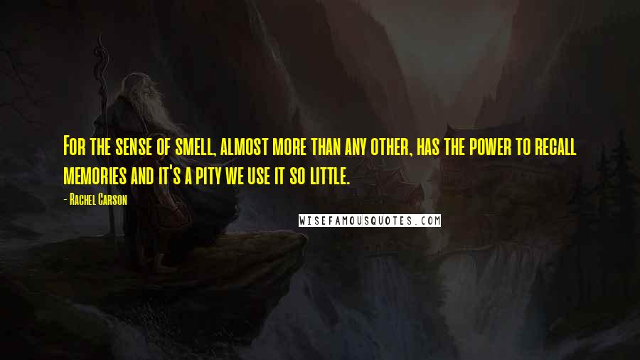 Rachel Carson Quotes: For the sense of smell, almost more than any other, has the power to recall memories and it's a pity we use it so little.