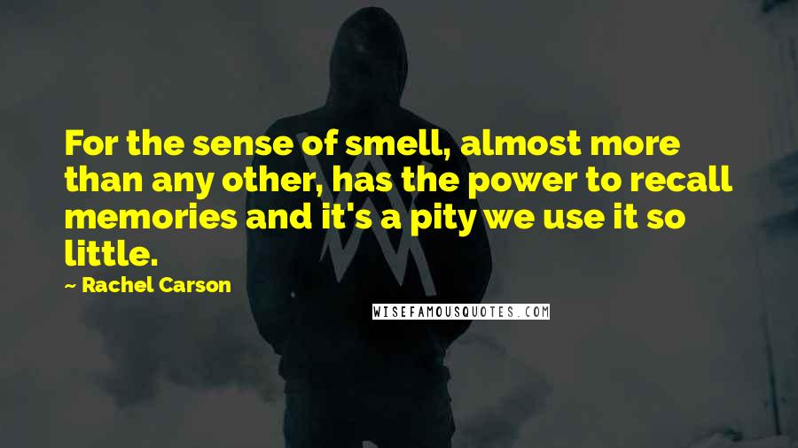 Rachel Carson Quotes: For the sense of smell, almost more than any other, has the power to recall memories and it's a pity we use it so little.