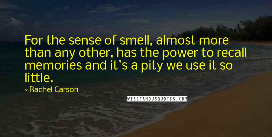 Rachel Carson Quotes: For the sense of smell, almost more than any other, has the power to recall memories and it's a pity we use it so little.