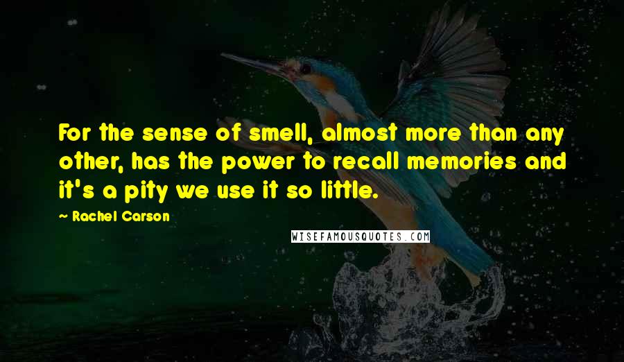 Rachel Carson Quotes: For the sense of smell, almost more than any other, has the power to recall memories and it's a pity we use it so little.