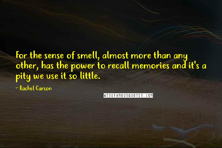 Rachel Carson Quotes: For the sense of smell, almost more than any other, has the power to recall memories and it's a pity we use it so little.