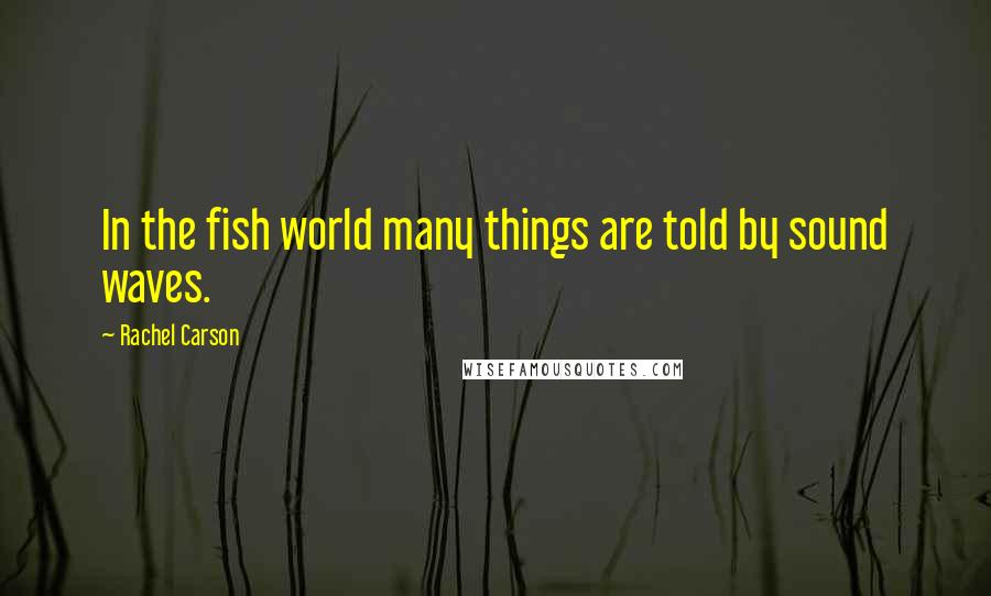 Rachel Carson Quotes: In the fish world many things are told by sound waves.