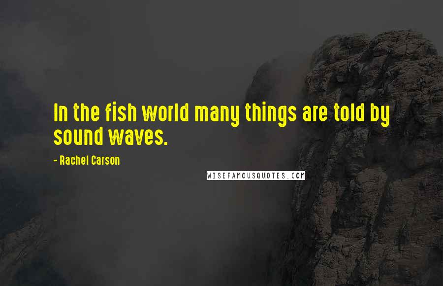 Rachel Carson Quotes: In the fish world many things are told by sound waves.