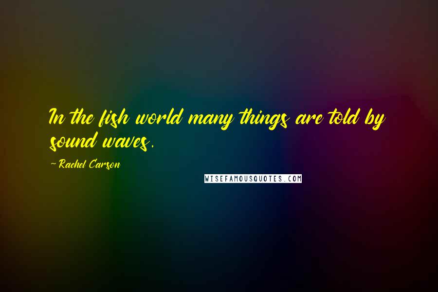 Rachel Carson Quotes: In the fish world many things are told by sound waves.