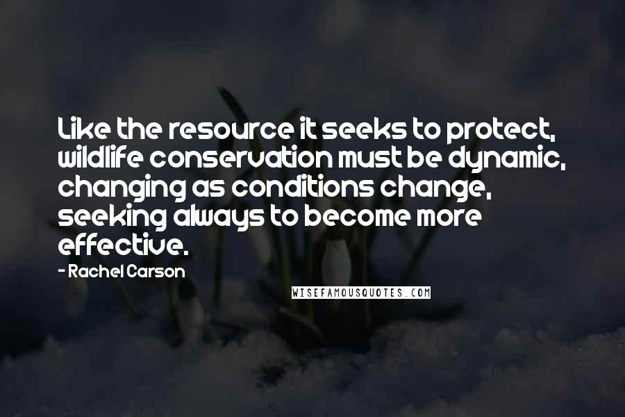 Rachel Carson Quotes: Like the resource it seeks to protect, wildlife conservation must be dynamic, changing as conditions change, seeking always to become more effective.