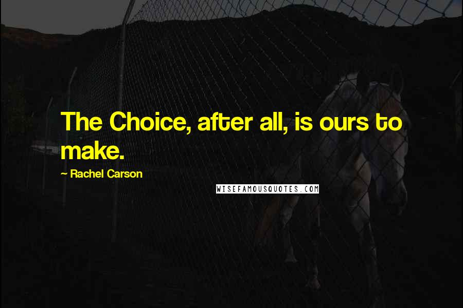 Rachel Carson Quotes: The Choice, after all, is ours to make.