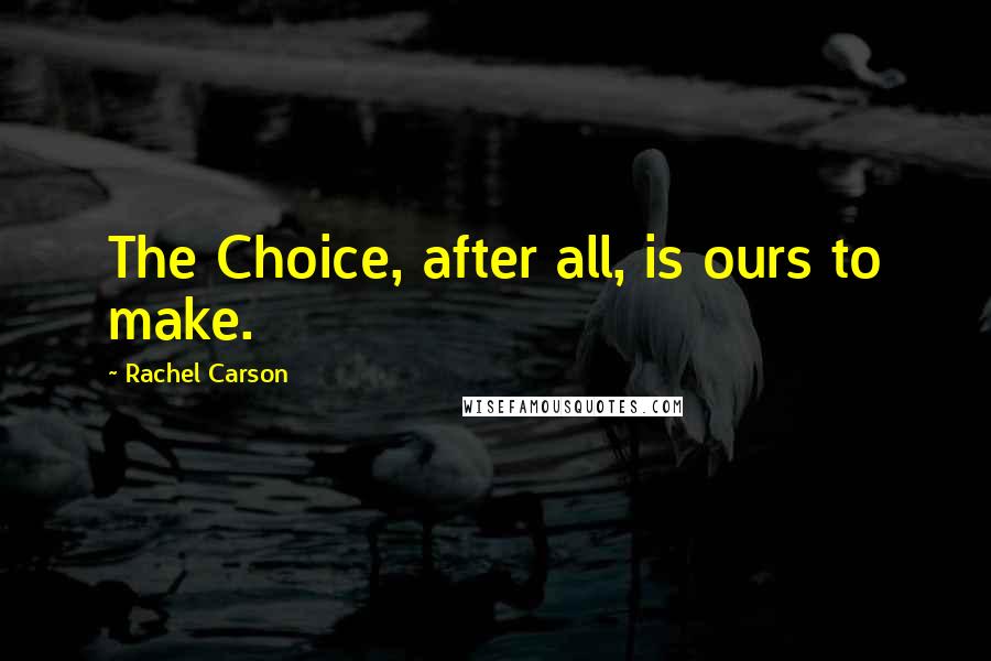 Rachel Carson Quotes: The Choice, after all, is ours to make.