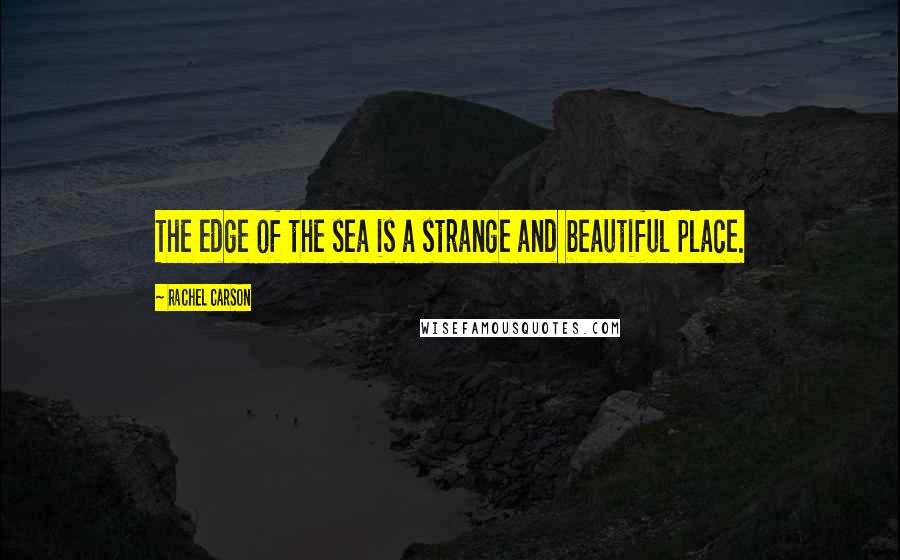 Rachel Carson Quotes: The edge of the sea is a strange and beautiful place.