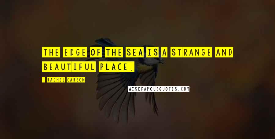 Rachel Carson Quotes: The edge of the sea is a strange and beautiful place.