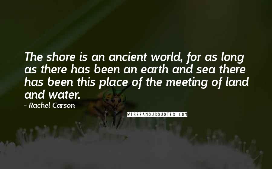 Rachel Carson Quotes: The shore is an ancient world, for as long as there has been an earth and sea there has been this place of the meeting of land and water.