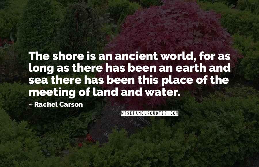 Rachel Carson Quotes: The shore is an ancient world, for as long as there has been an earth and sea there has been this place of the meeting of land and water.