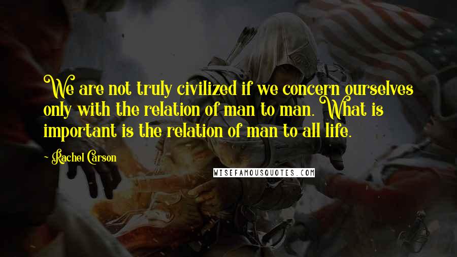 Rachel Carson Quotes: We are not truly civilized if we concern ourselves only with the relation of man to man. What is important is the relation of man to all life.