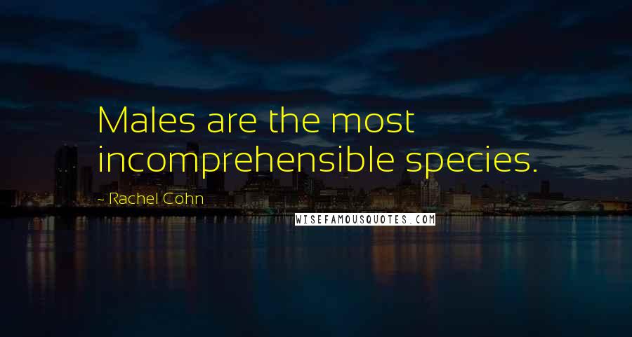 Rachel Cohn Quotes: Males are the most incomprehensible species.