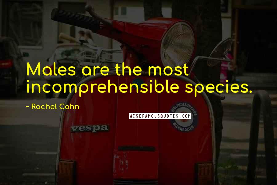 Rachel Cohn Quotes: Males are the most incomprehensible species.