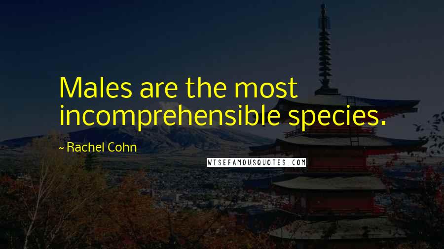 Rachel Cohn Quotes: Males are the most incomprehensible species.