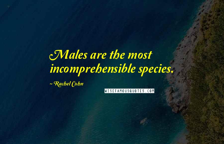 Rachel Cohn Quotes: Males are the most incomprehensible species.