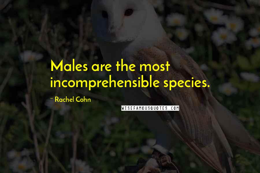 Rachel Cohn Quotes: Males are the most incomprehensible species.