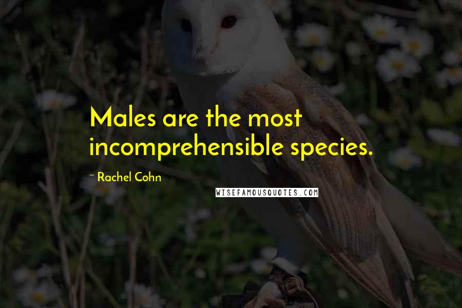 Rachel Cohn Quotes: Males are the most incomprehensible species.