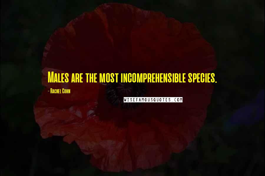 Rachel Cohn Quotes: Males are the most incomprehensible species.