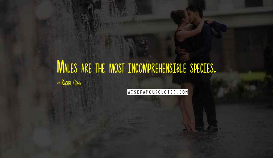 Rachel Cohn Quotes: Males are the most incomprehensible species.