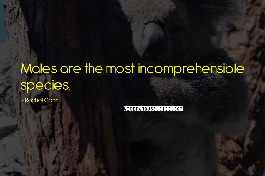 Rachel Cohn Quotes: Males are the most incomprehensible species.