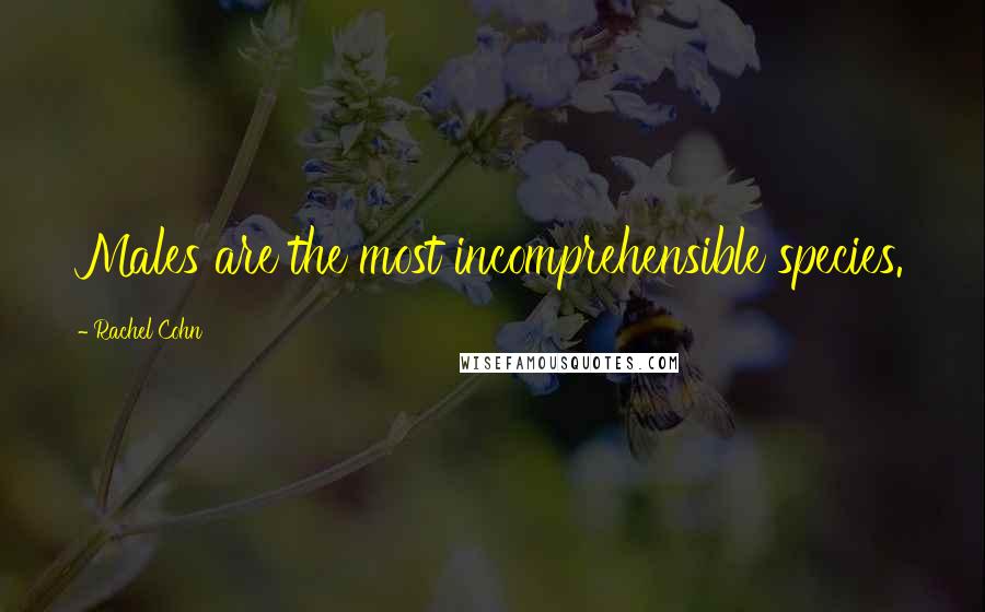 Rachel Cohn Quotes: Males are the most incomprehensible species.