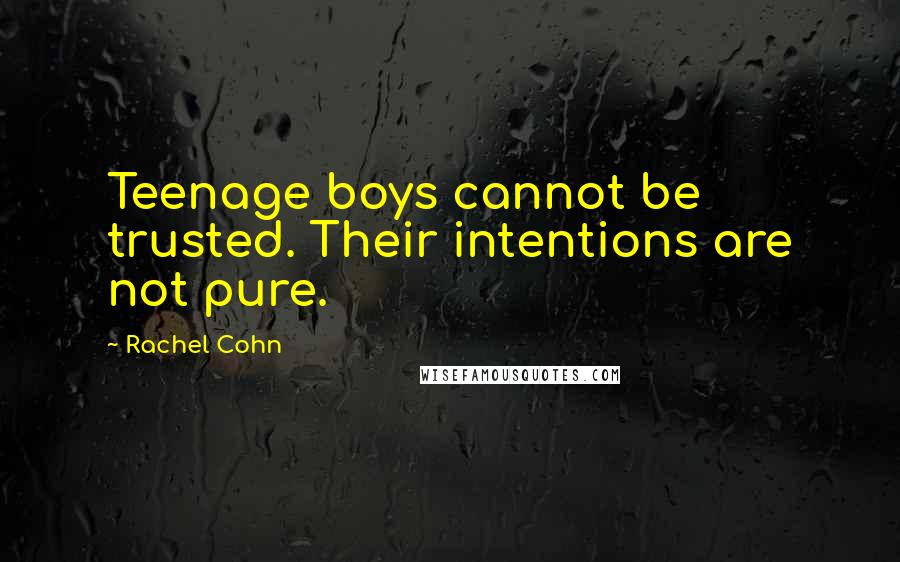 Rachel Cohn Quotes: Teenage boys cannot be trusted. Their intentions are not pure.