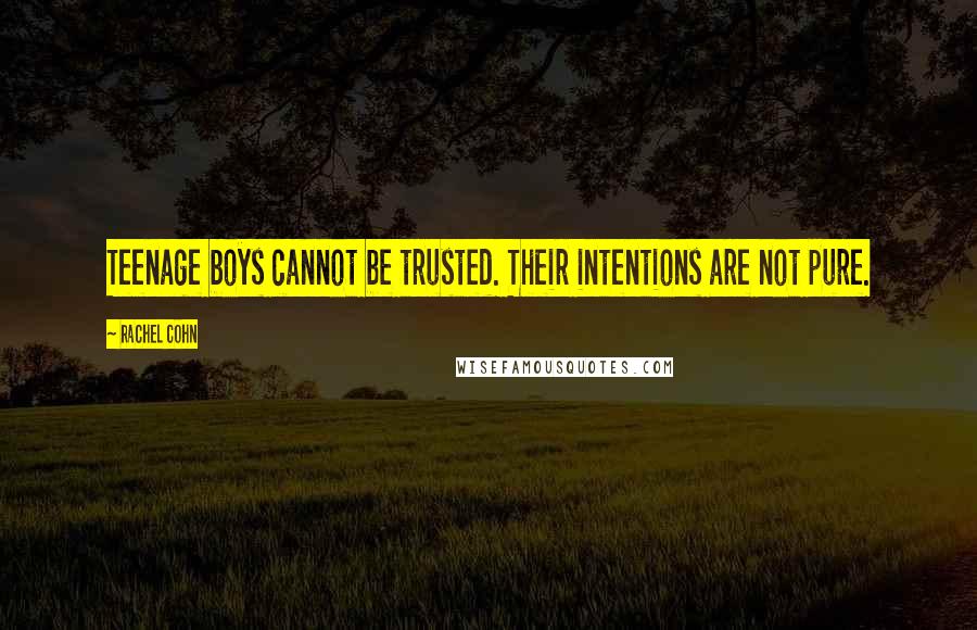 Rachel Cohn Quotes: Teenage boys cannot be trusted. Their intentions are not pure.