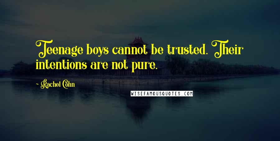 Rachel Cohn Quotes: Teenage boys cannot be trusted. Their intentions are not pure.