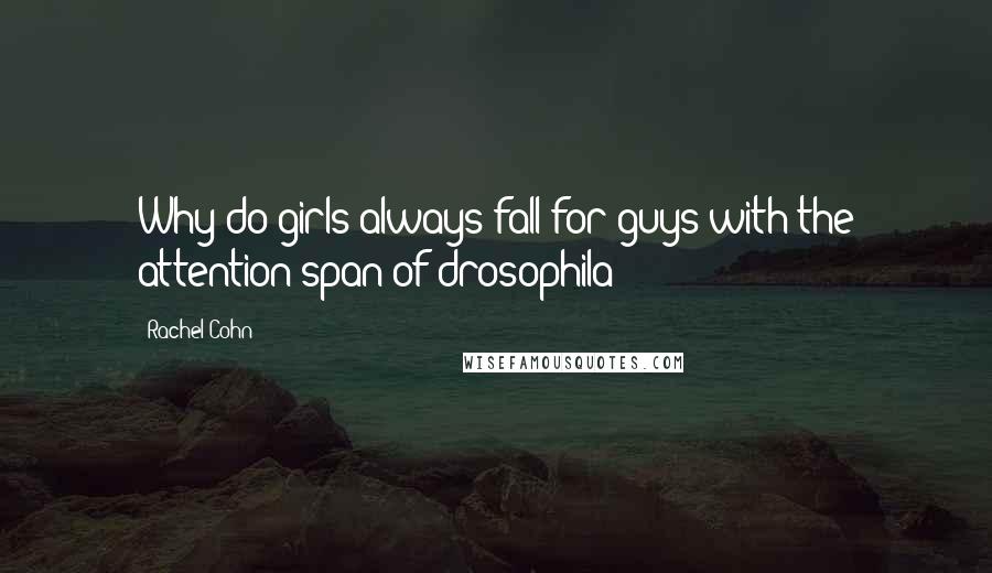 Rachel Cohn Quotes: Why do girls always fall for guys with the attention span of drosophila?