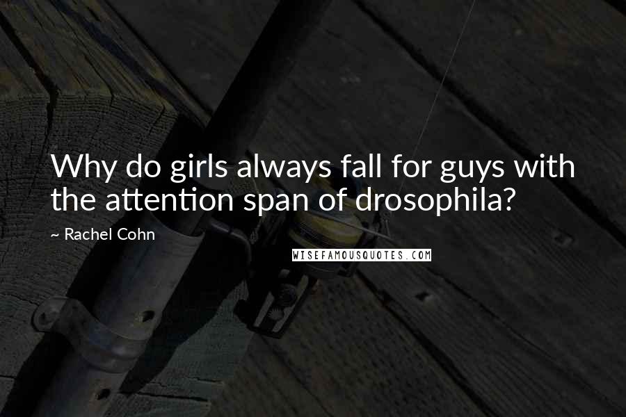 Rachel Cohn Quotes: Why do girls always fall for guys with the attention span of drosophila?