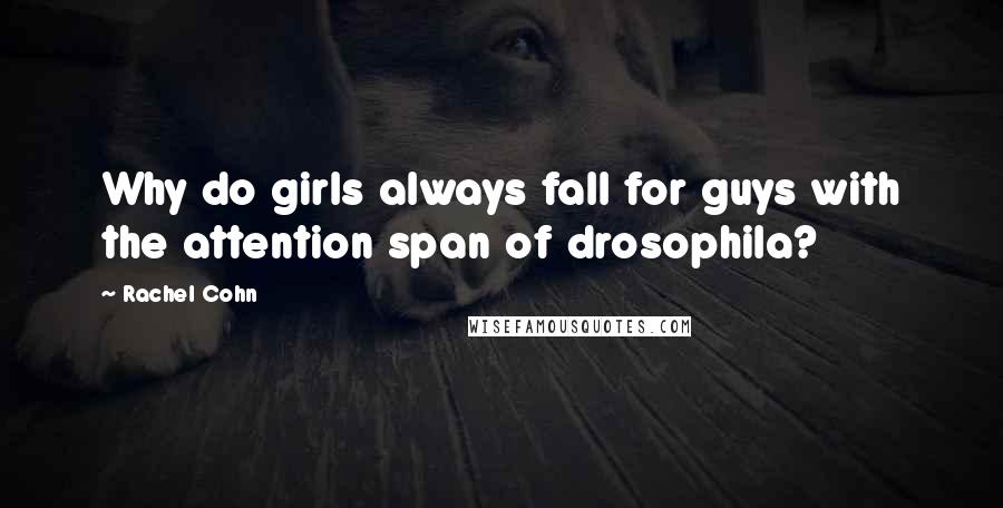 Rachel Cohn Quotes: Why do girls always fall for guys with the attention span of drosophila?