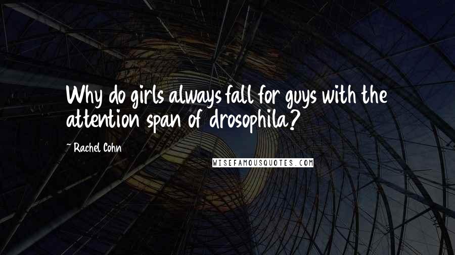 Rachel Cohn Quotes: Why do girls always fall for guys with the attention span of drosophila?