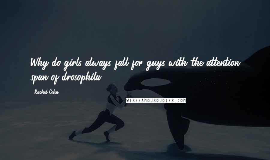 Rachel Cohn Quotes: Why do girls always fall for guys with the attention span of drosophila?